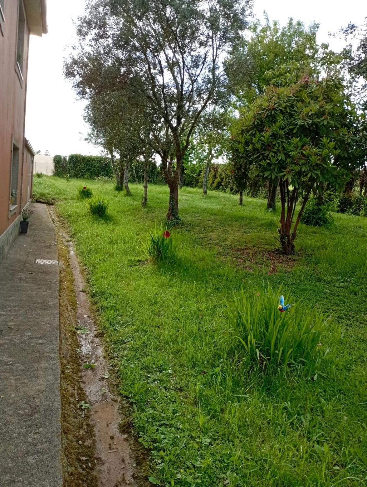 A Casa Do San Paio De Buscas Apartment Ordes Exterior photo